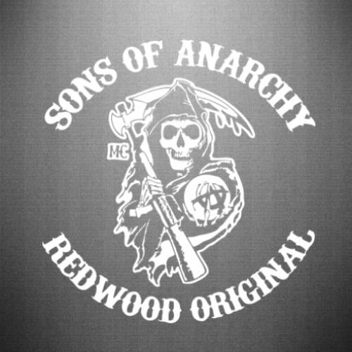 Наклейка Sons of Anarchy 43,3x45 см Білий (21559131)