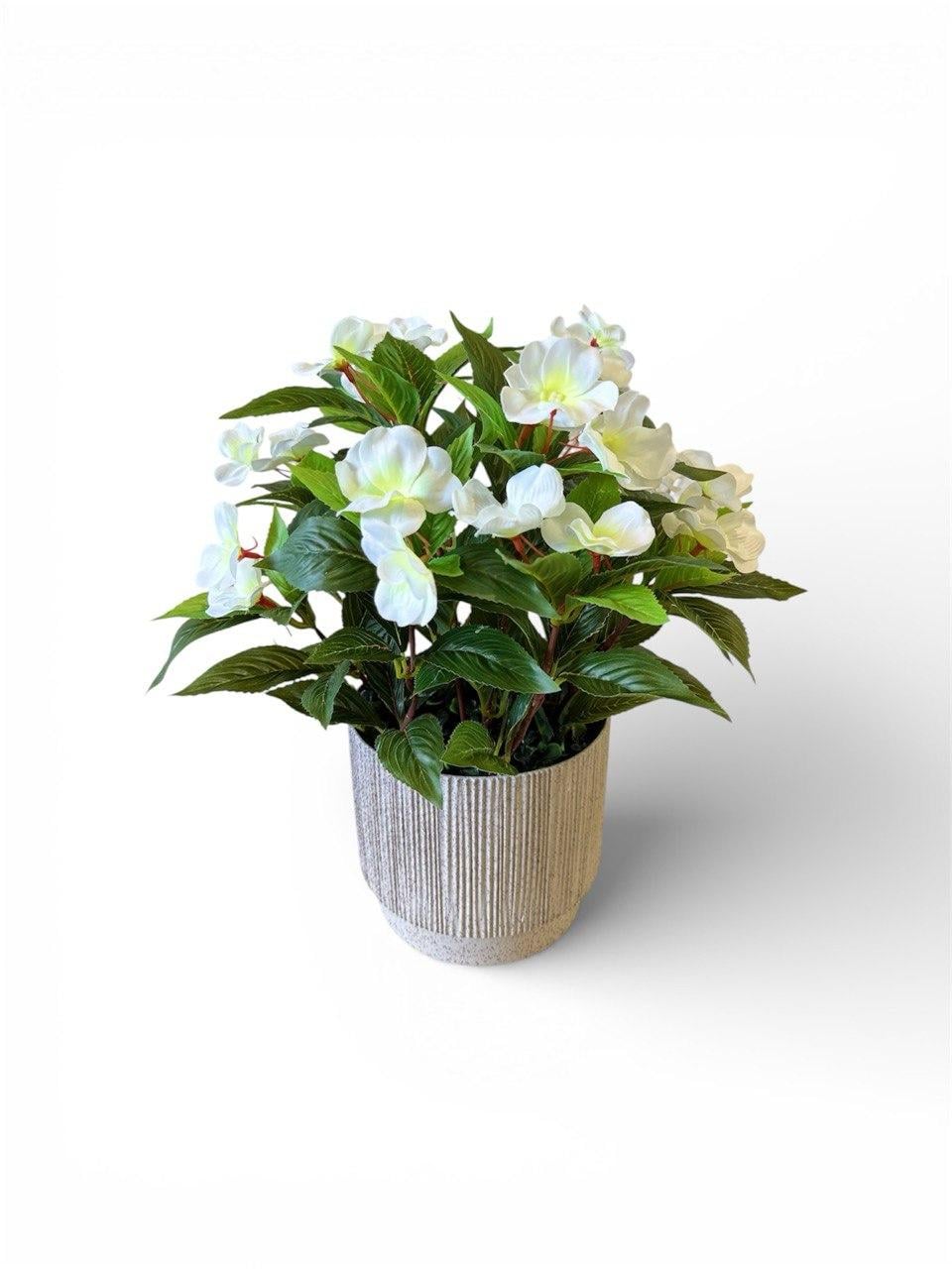 Букет бегоний в кашпо ПЛАСТМАКС Белый (R1001)
