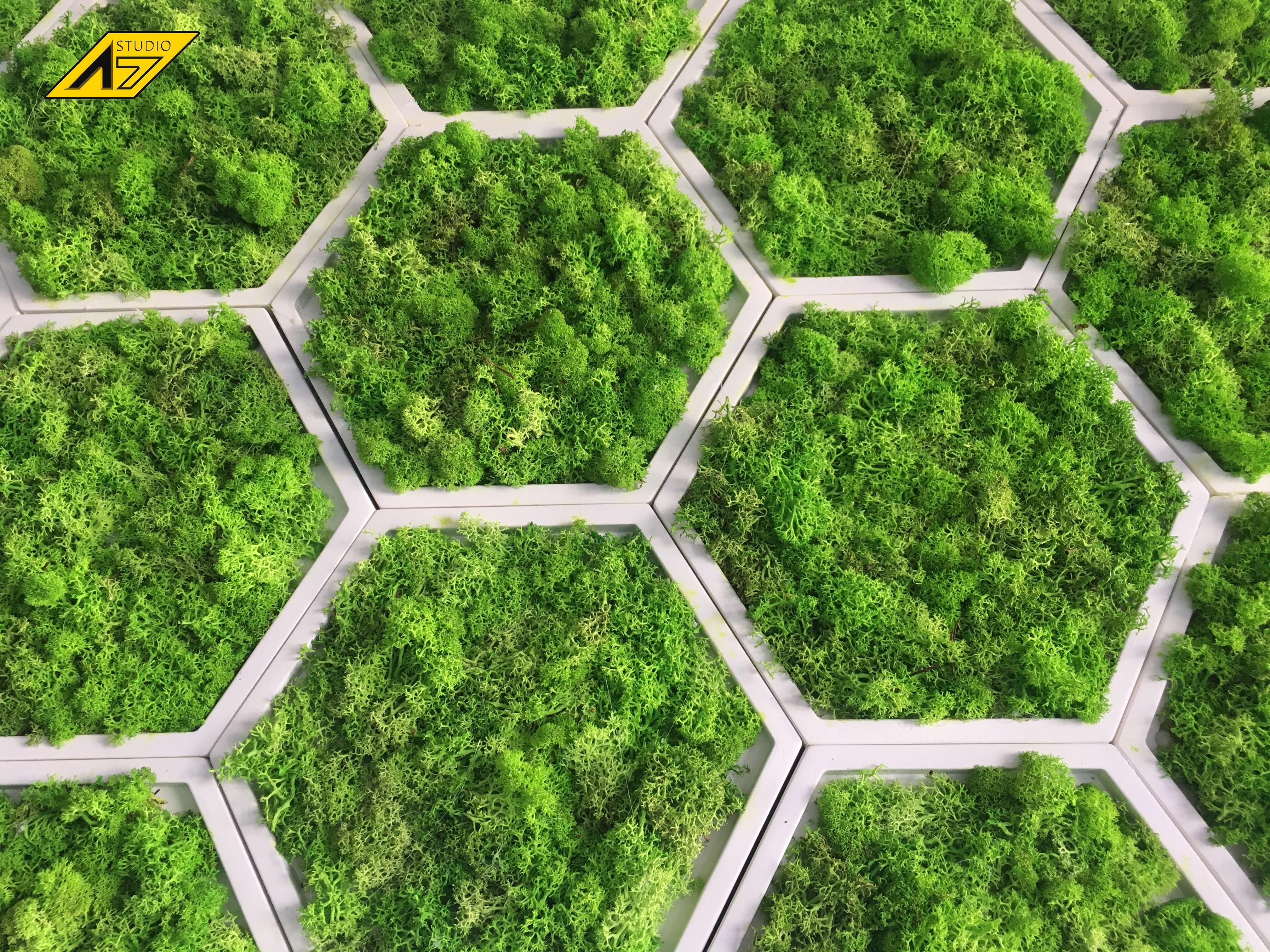 Панель гипсовая 3D Соты со стабилизированным мхом (1063) - фото 4 Панель гипсовая 3D Соты со стабилизированным мхом (1063) - фото 4