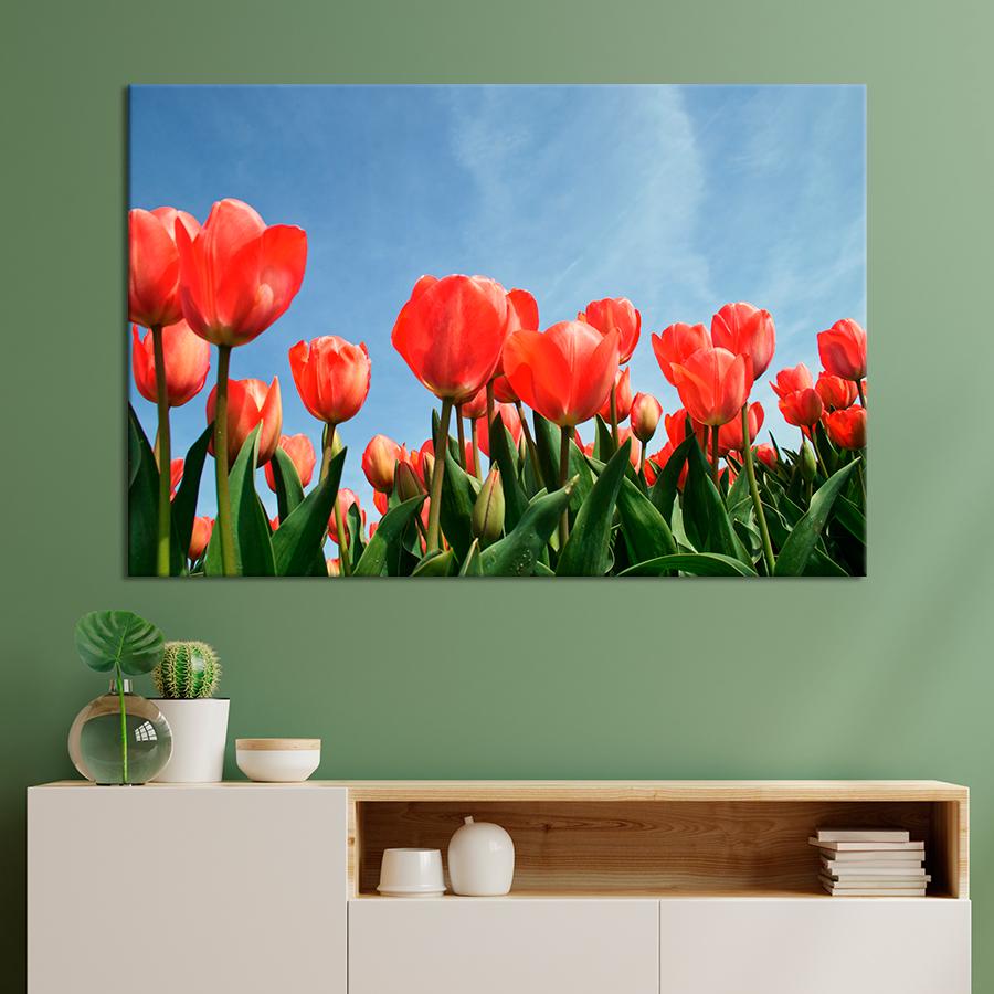 Картина цветы и растения Красные тюльпаны 120x80 см (A997-1)