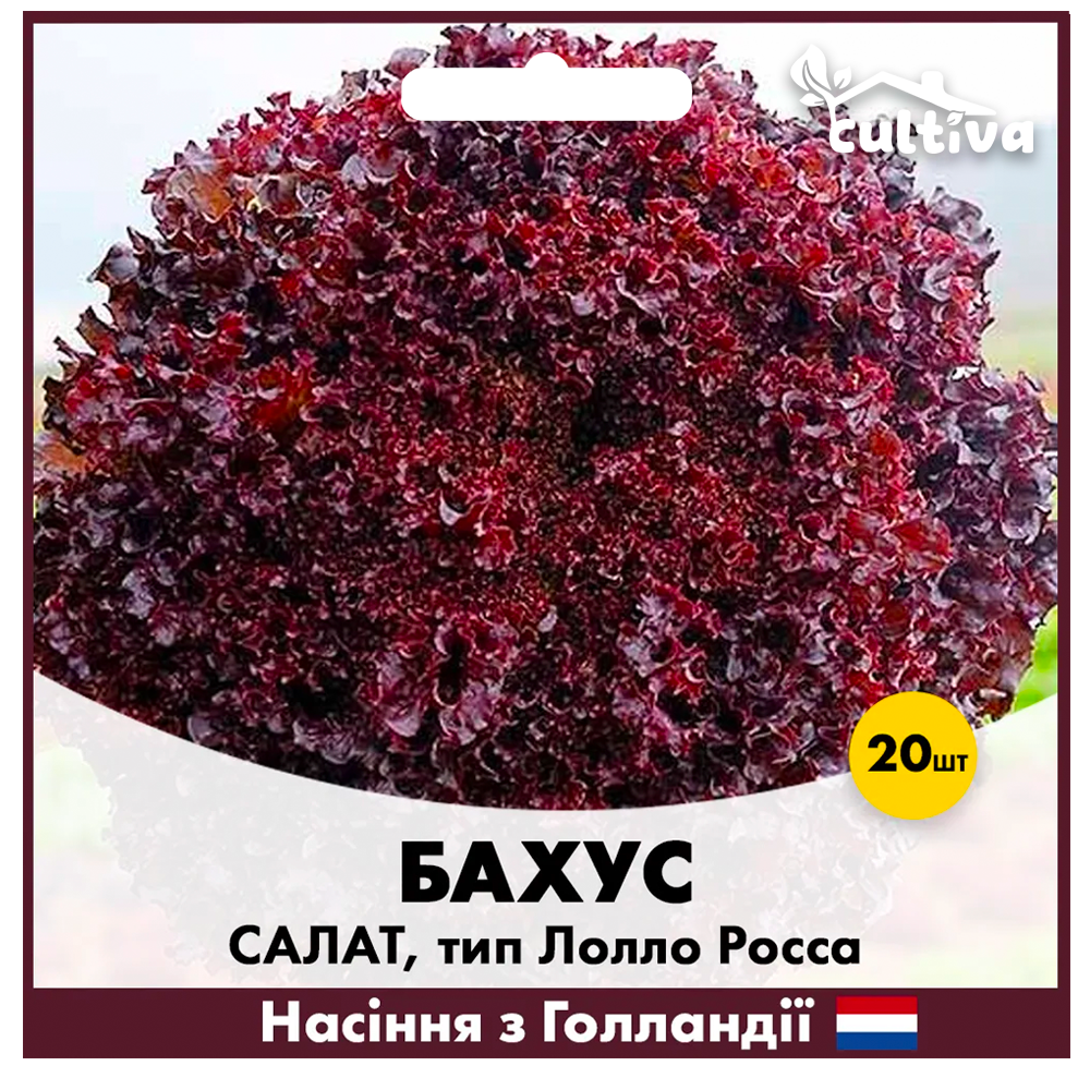 Семена салата в бахус тип Hazera Лолло Росса 20 шт. (00275)