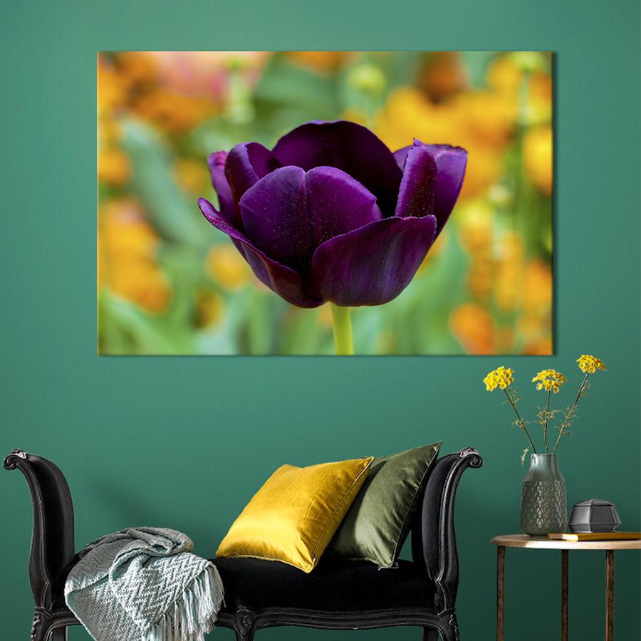 Картина на холсте Фиолетовый тюльпан 75x50 см (1003-1)