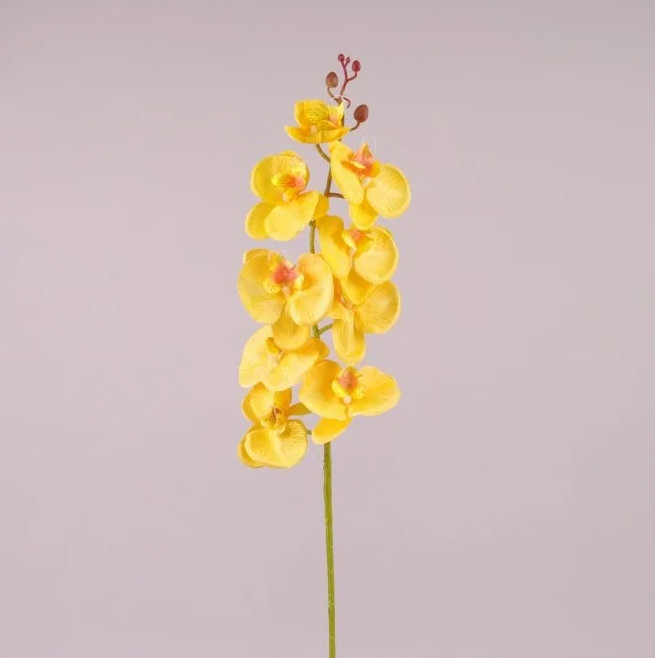 Цветок Фаленопсис Flora Желтый (72807)