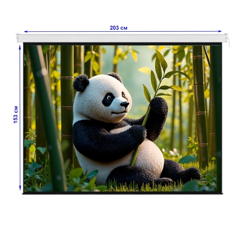 Екран для проєкторів EQUIPIFY SMM-4302 моторизований настінний стельовий 100" 203x153 см 4:3 (tf2930) - фото 5 Екран для проєкторів EQUIPIFY SMM-4302 моторизований настінний стельовий 100" 203x153 см 4:3 (tf2930) - фото 5