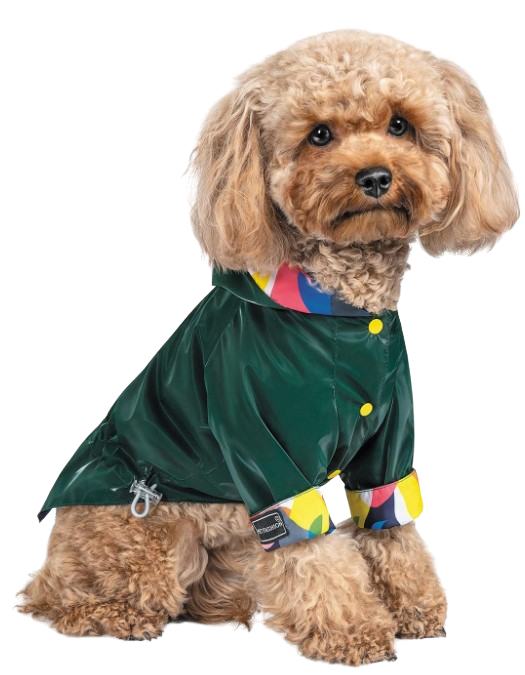 Ветровка Pet Fashion AIR S Зеленый (100394) Ветровка Pet Fashion AIR S Зеленый (100394)