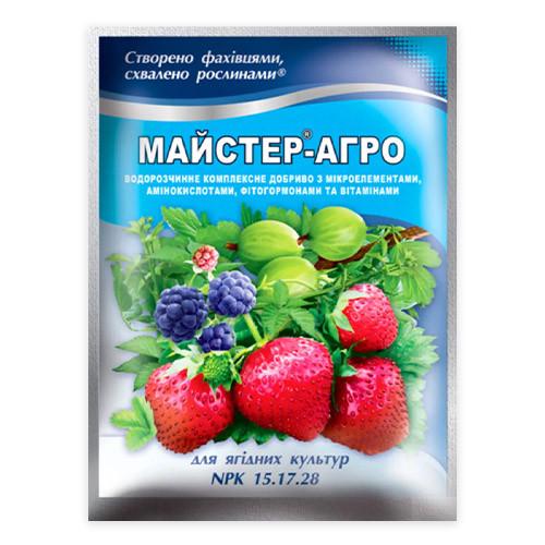 Удобрение Мастер-агро Насіння країни для ягодных культур 100 г (4820060631176)