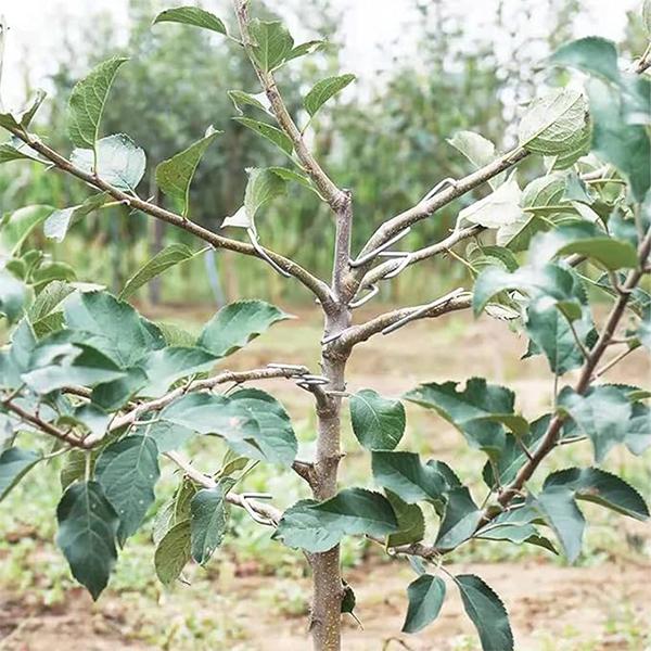 Опори для гілок дерев металеві M00573-1 9 шт. - фото 8 Опори для гілок дерев металеві M00573-1 9 шт. - фото 8