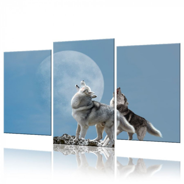 Картина модульная 3 части ArtStar Пара волков 120х180 см ADJ0022