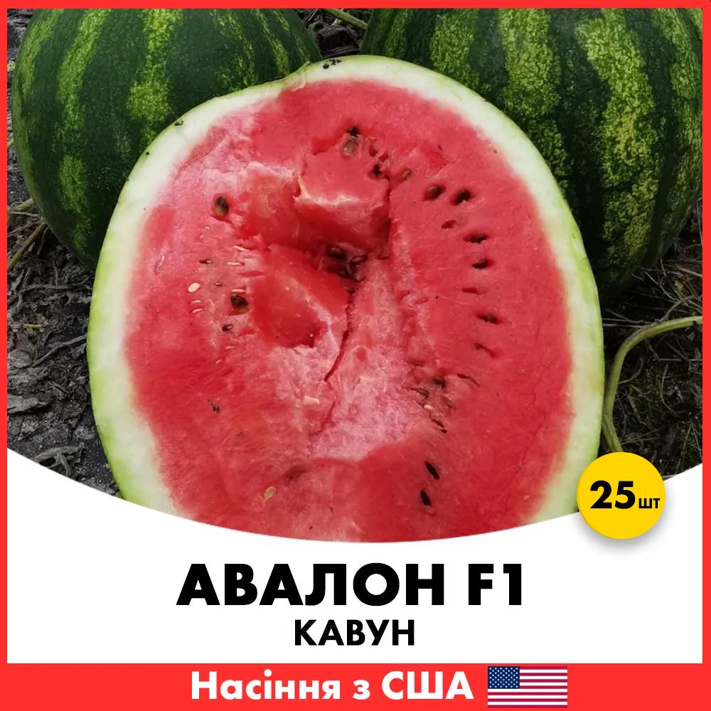 Семена арбуза Innova Seeds Авалон F1 25 шт. (jkl7-25)