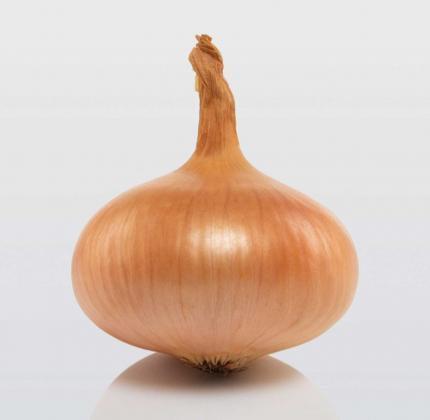 Лук севок BroerB.V. Штутгартен Стенфилд фракция 21-23 мм 100 г (1820994291)