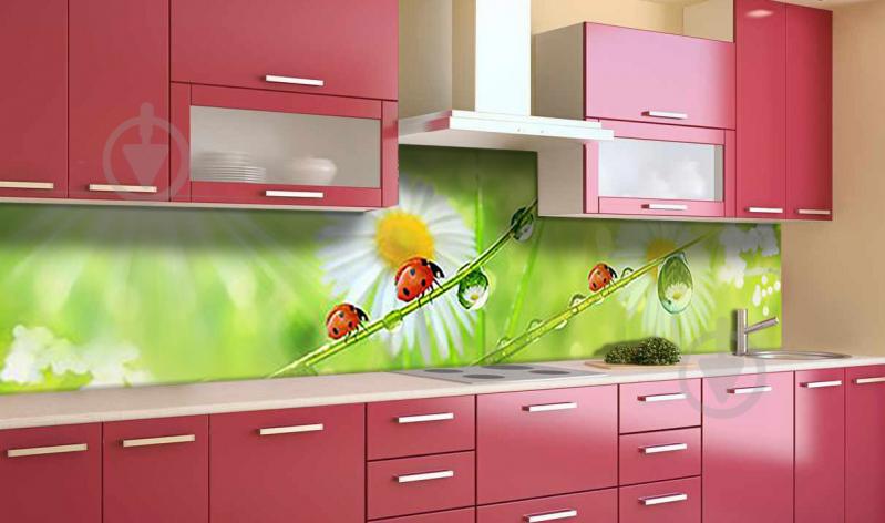 Наклейка виниловая кухонный фартук  Zatarga  "Ромашки Божьи коровки"  650х2500 мм