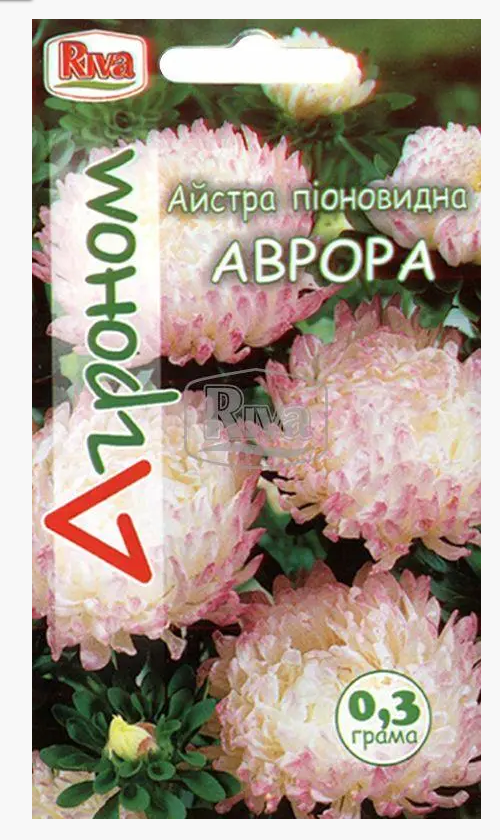 Семена Астра пионовидная Аврора Riva Trade ТД Гекса-Украина 02-01-140 0,3 г (IR002961) Семена Астра пионовидная Аврора Riva Trade ТД Гекса-Украина 02-01-140 0,3 г (IR002961)