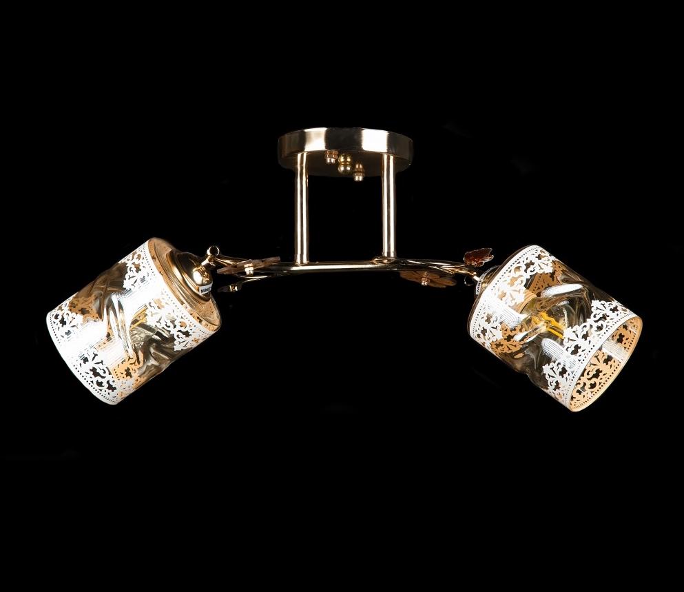 Люстра с плафонами Splendid Ray (L9649A/2 FGD)