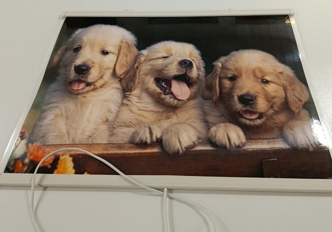 Инфракрасный обогреватель настенный картина Щенята 240 Вт 63х50 см - фото 3 Инфракрасный обогреватель настенный картина Щенята 240 Вт 63х50 см - фото 3