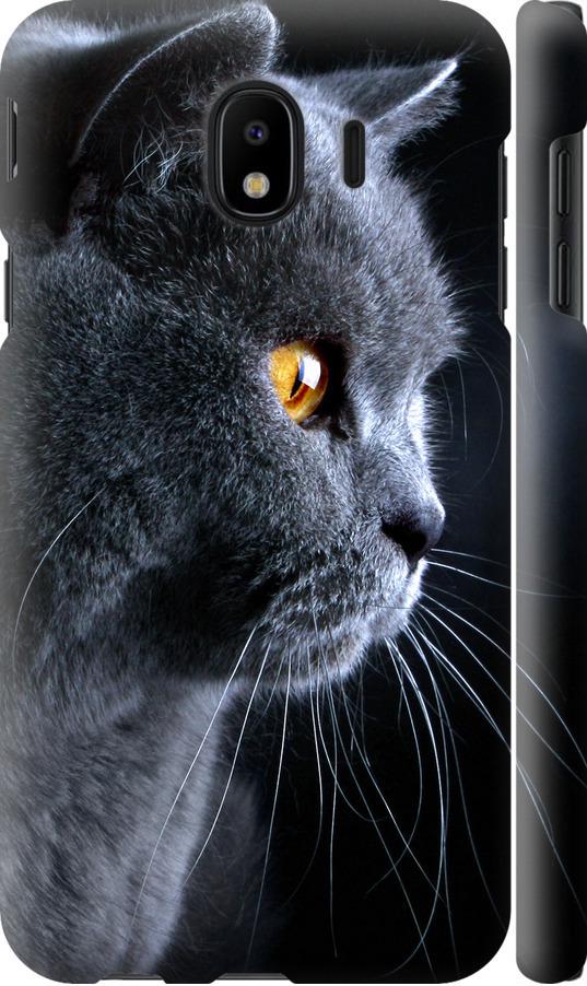 Чохол на Samsung Galaxy J4 2018 Гарний кіт (3038m-1487-42517)
