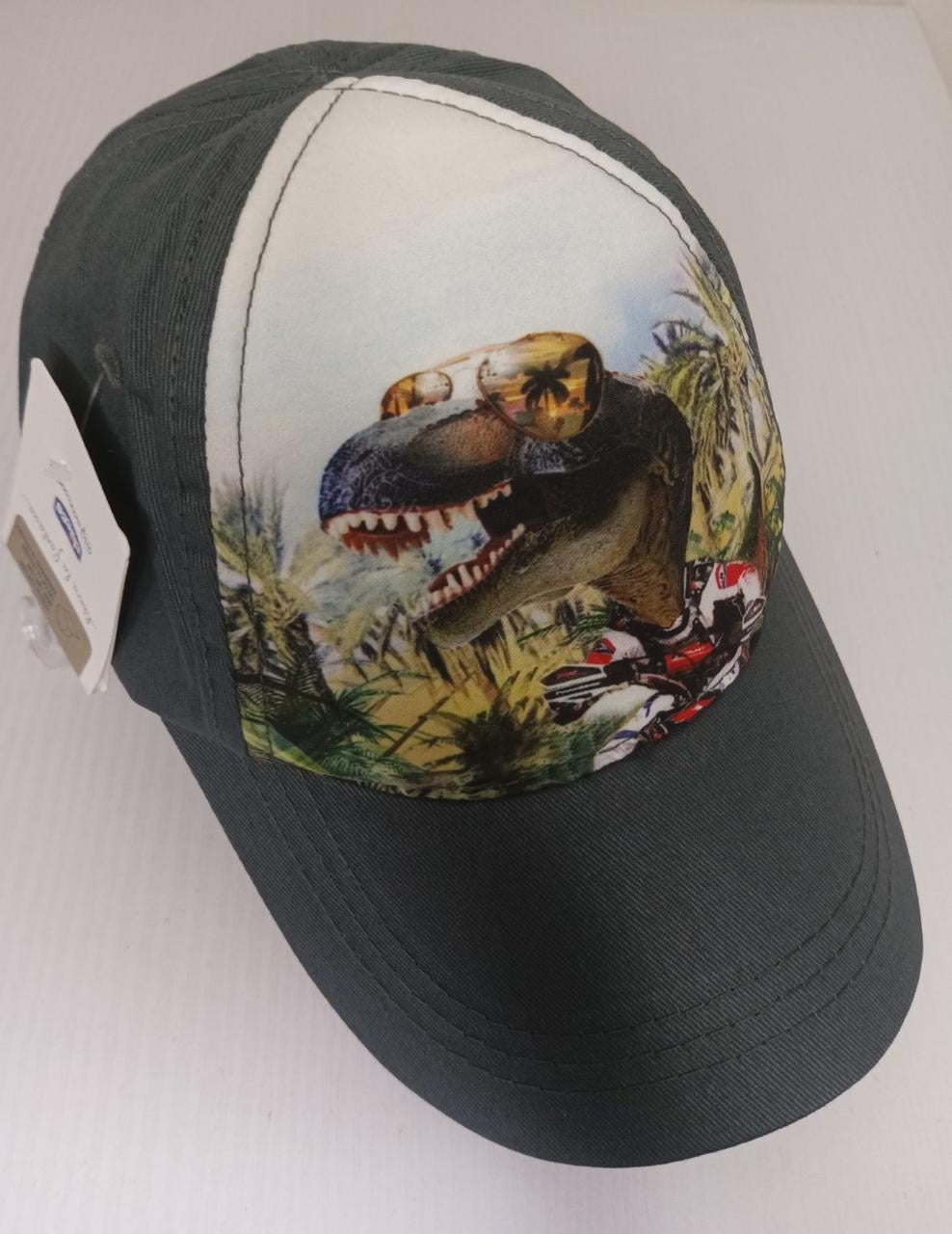 Кепка Сhicco Дино T-Rex для мальчика 48-50 см 18 мес.-2 г. (2575710268)