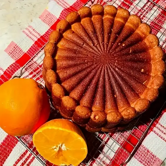 Форма силиконовая для торта Charlotte круглая для чизкейка шоколадного торта мафинов (UA-567) - фото 2