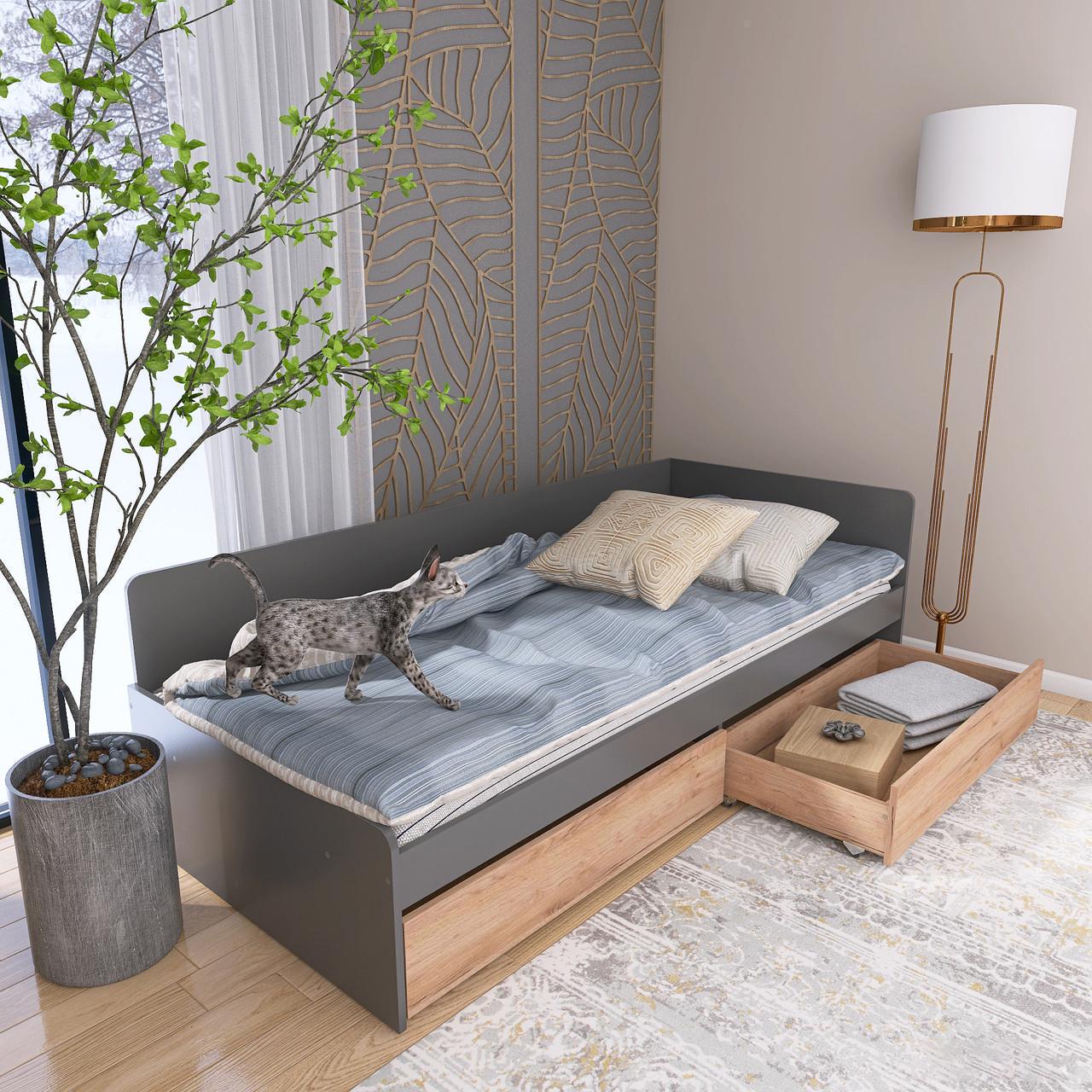 Кровать детская с ящиками Еверест 800 ЩИТ ДСП Графитовый/Крафт золотой (е-207465)