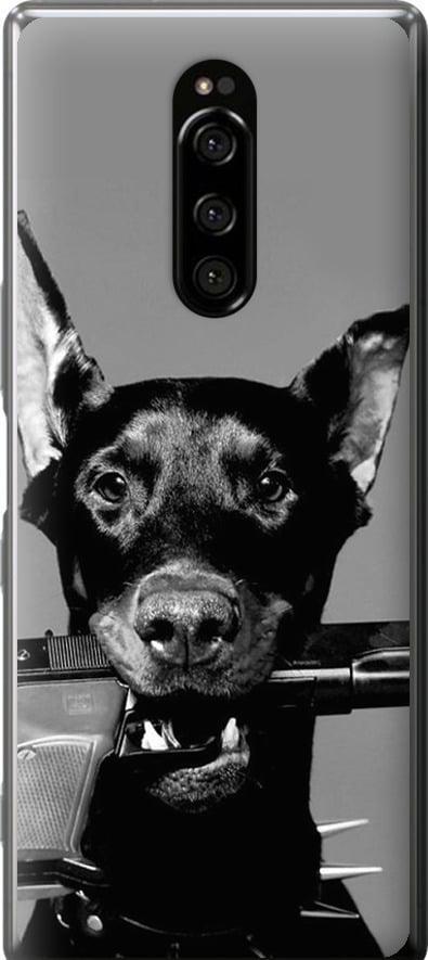 Чехол на Sony Xperia XZ4 Доберман (2745u-1623-42517)