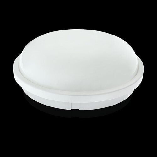 Светильник светодиодный ЖКХ Biom SMPL-R20-6 20 Вт 6000К sensor (00-00017819)