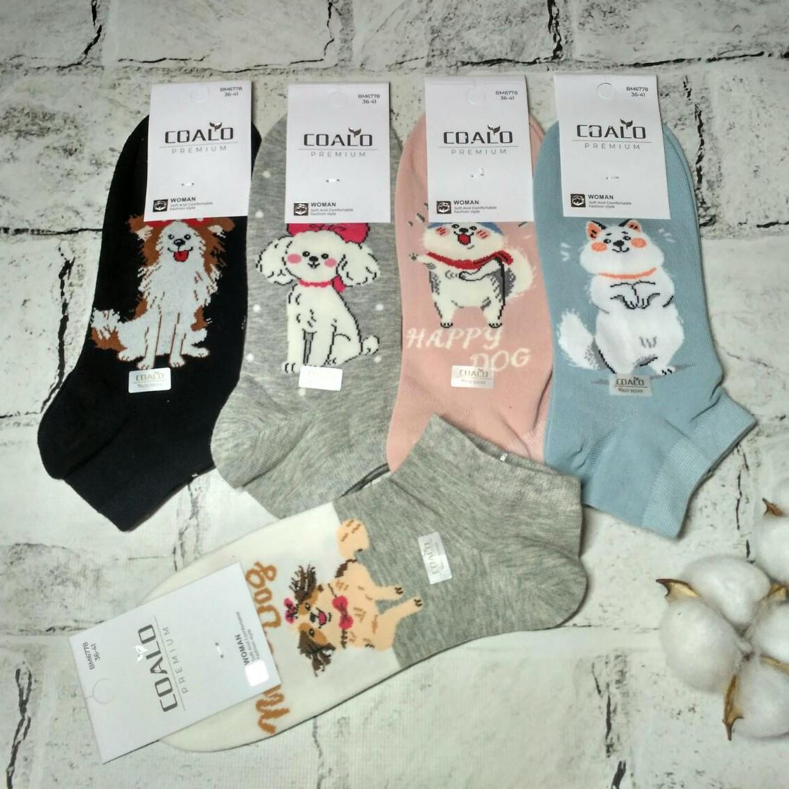 Носки женские хлопковые короткие Собачки набор 5 пар р. 36-41 Пастельные (BM6778) Носки женские хлопковые короткие Собачки набор 5 пар р. 36-41 Пастельные (BM6778)