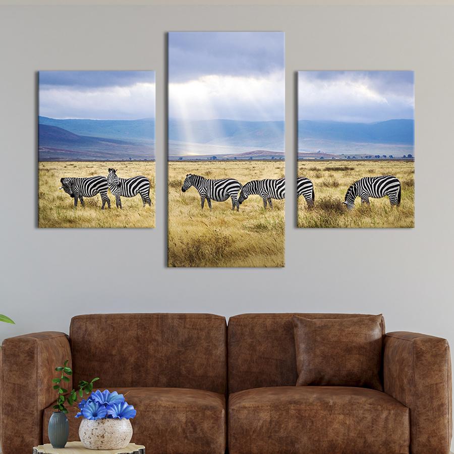 Модульная картина на холсте Триптих Зебры на поле возле гор 96x60 см (193-32)