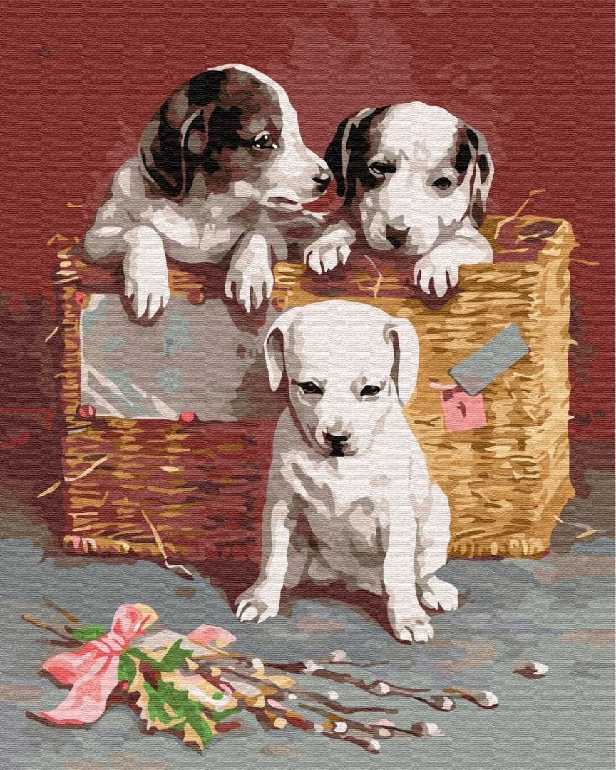 Картина по номерам Brushme GX8384 Щенки в корзине 40x50 см (1237277776)