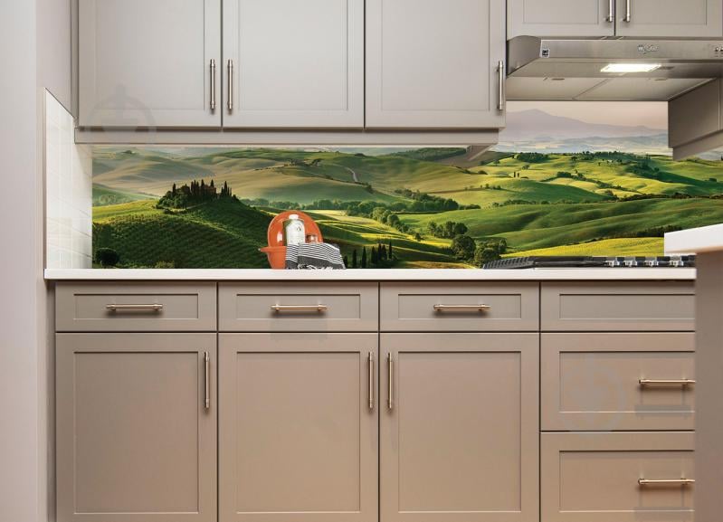 Кухонный фартук  Zatarga Долина 600 х 2500 мм Зеленый (Z180098/1)