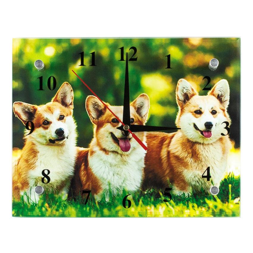 Часы настенные Дружная семейка 21х26х5 см (21879)