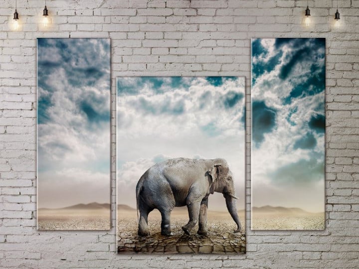 Картина модульна ArtStar Слон ADJ0152 150х180 см 3 частини