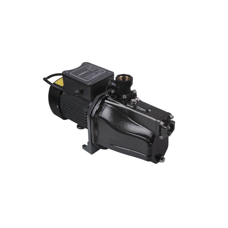 Насос поверхностный самовсасывающий Thermo Alliance SJETN-100N 0,75 кВт (FRRS00046698)