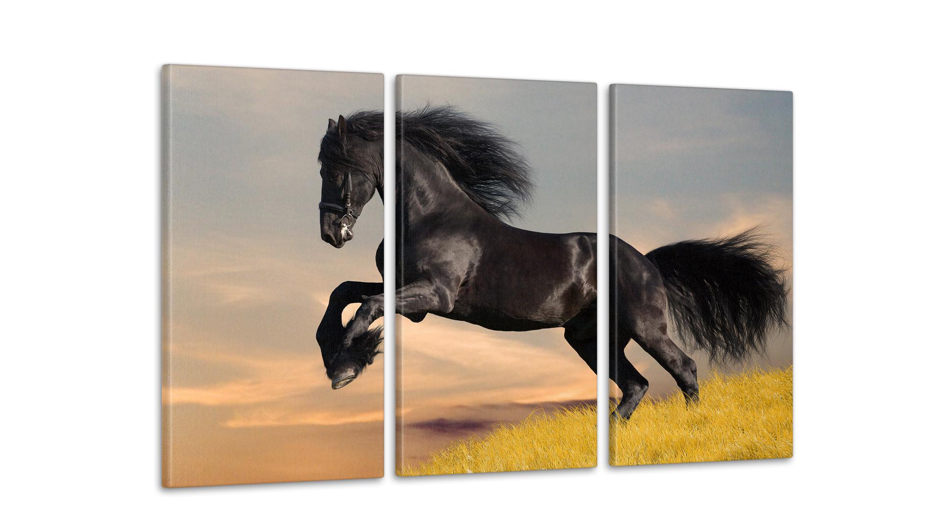 Модульная картина Лошадь 53x100 см (Art-87_3А)