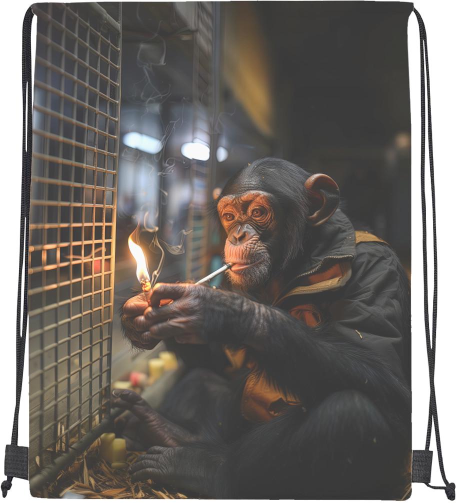 Мішок спортивний Мавпа (20302502)