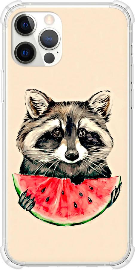 Чехол на iPhone 12 Енотик с арбузом (4605sp-2053-42517)