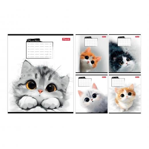 Набор школьных тетрадей 1 Вересня Little Cat коса линия 12 л. 25 шт. (768736)