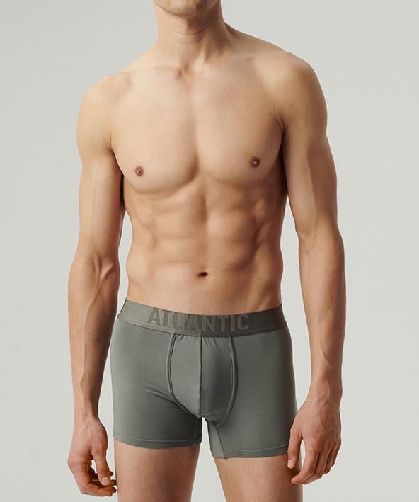 Трусы-боксеры мужские Atlantic MH-1201 микромодал XXL Хаки (27565812) Трусы-боксеры мужские Atlantic MH-1201 микромодал XXL Хаки (27565812)