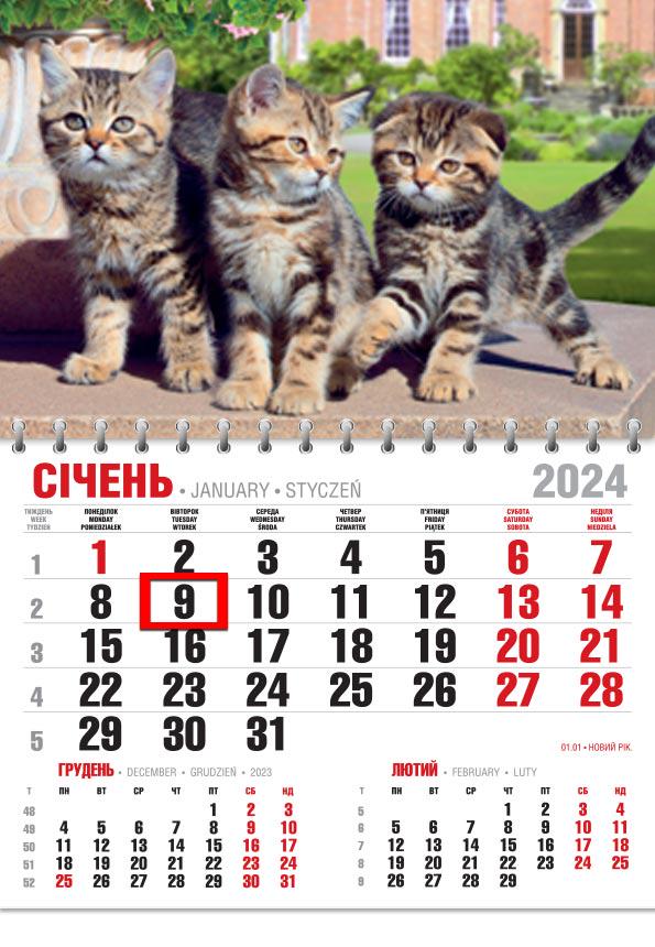 Календар 2024 офісний Економ Котяча тріада