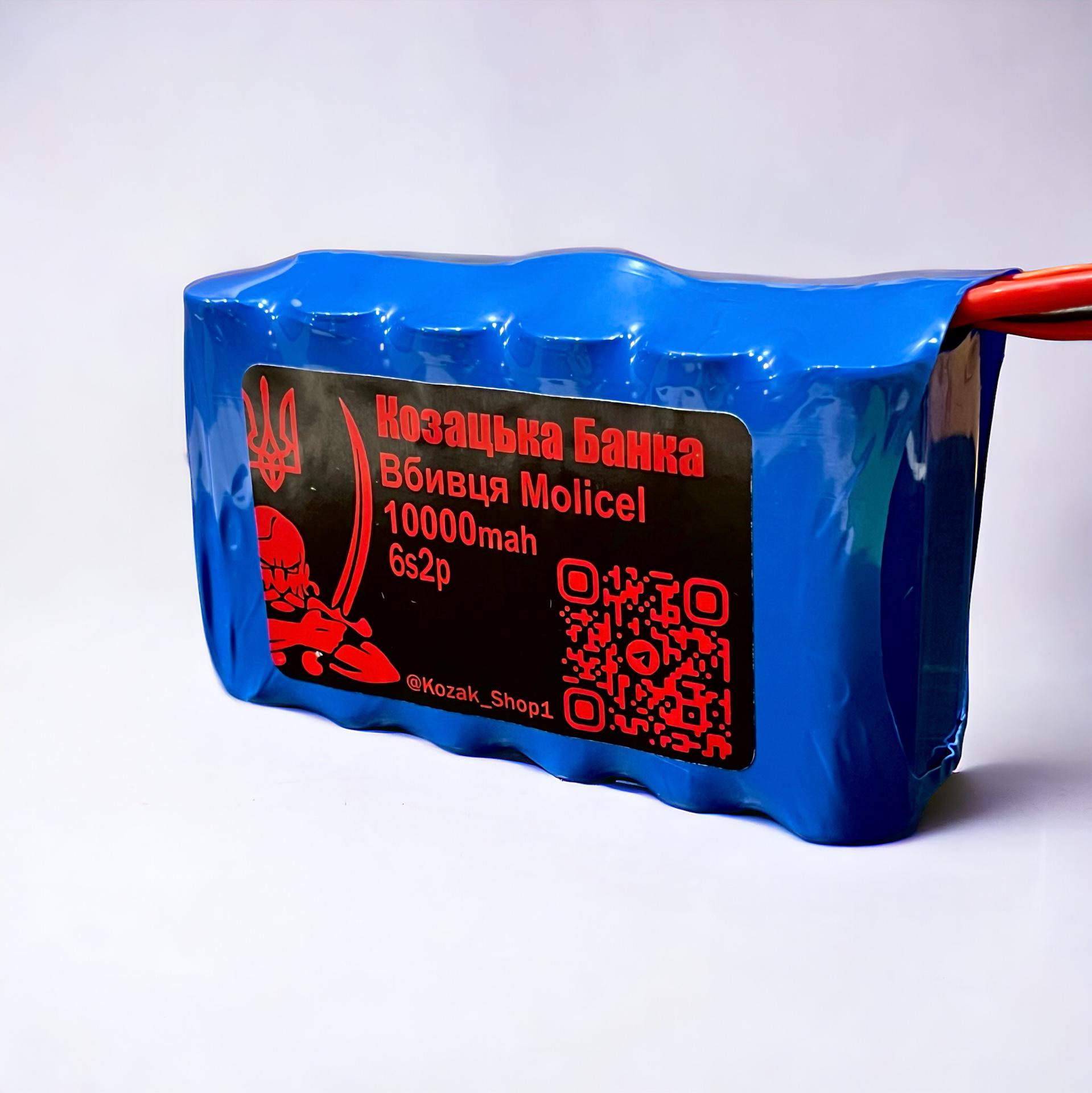 Акумулятор для FPV дрону 6s2p Вбивця Molicel 10000 mAh