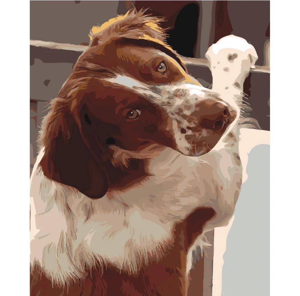 Картина по номерам Strateg Угловой взгляд 40x50 см (SY6444)