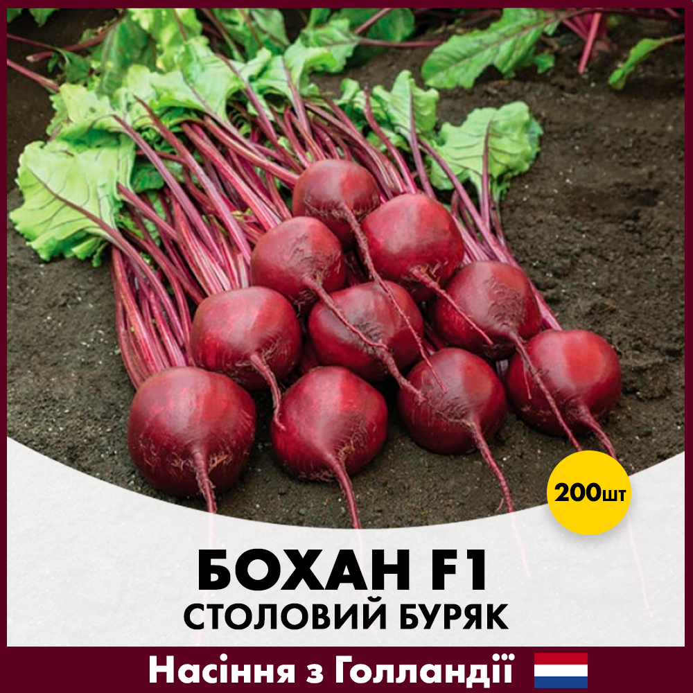Семена свеклы Bejo Столовый Бохан F1 200 шт. (R50193)