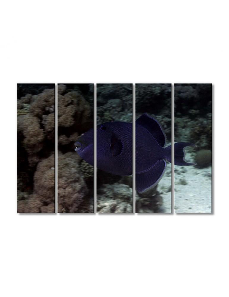 Картина модульная Рыбная королева - спинорог 5 модулей 70x105 см