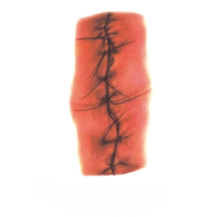 Тату наклейки Шов на ране для Хэллоуина 10x6 см Красный (W-30)