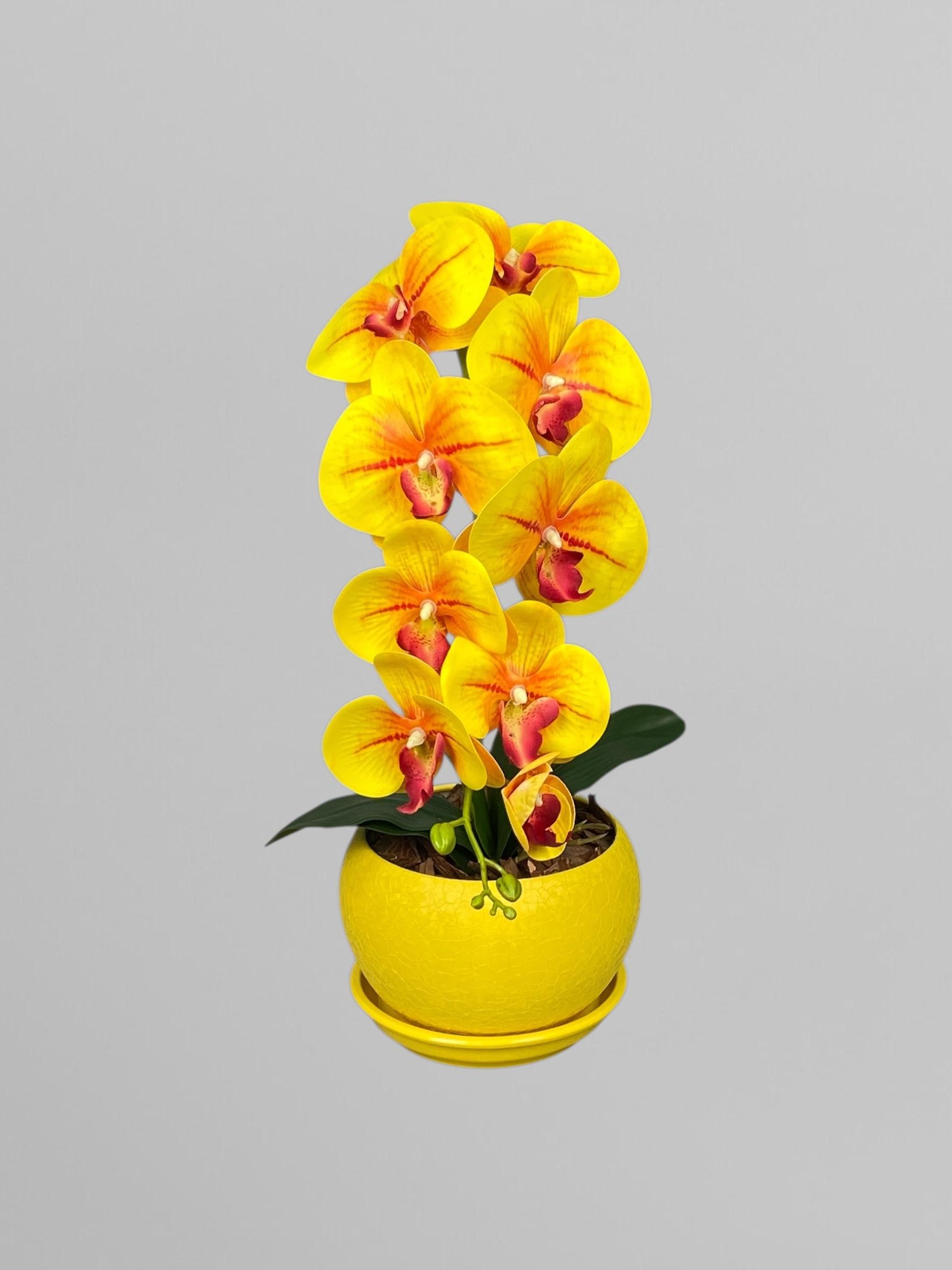 Композиция настольная из латексных орхидей на 1 веточку в керамическом кашпо 50 см Желтый (А207)