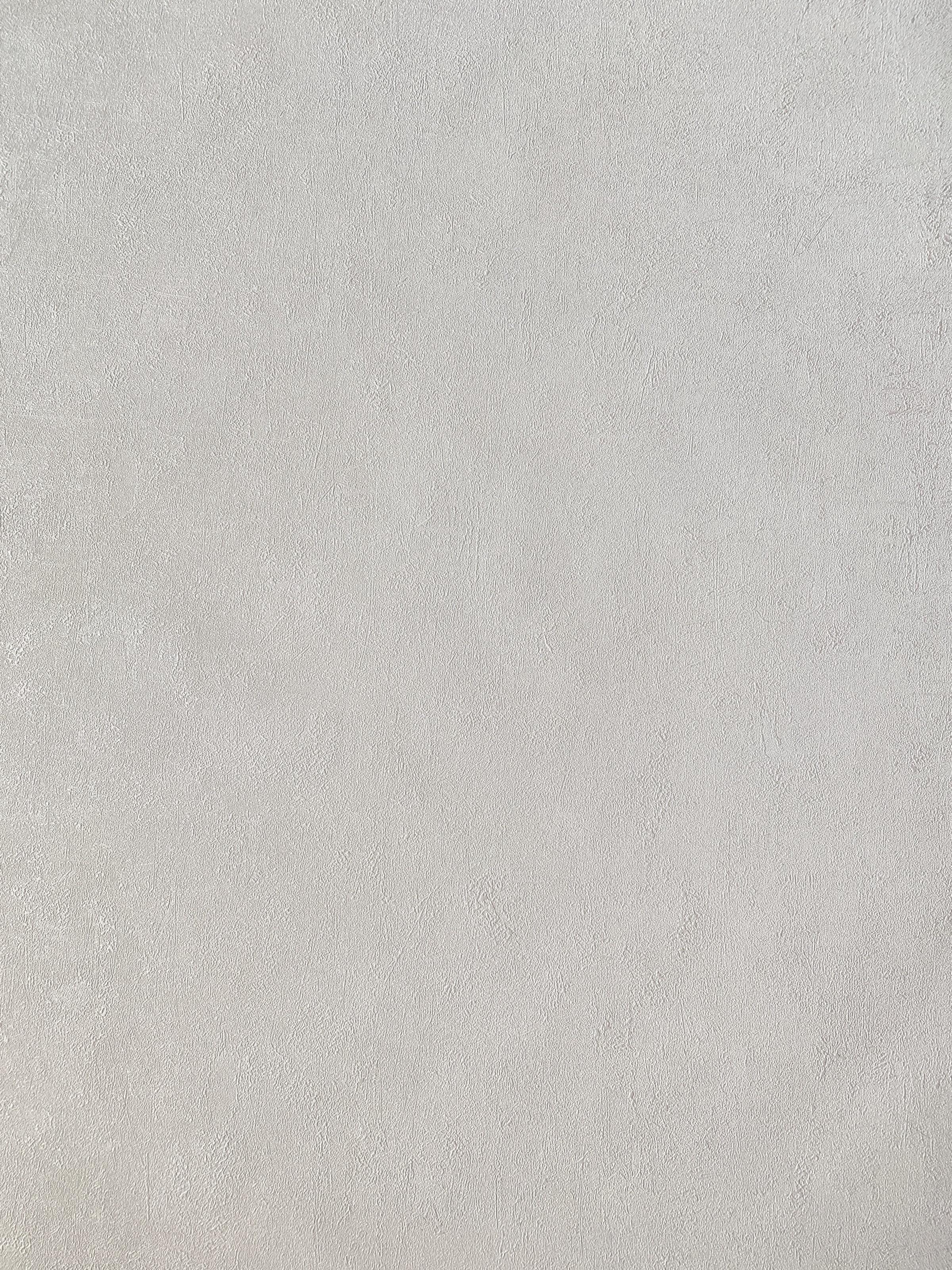 Обои виниловые на флизелиновой основе Grandeco Opportunity Wallcoverings Q0021 Штукатурка Белый