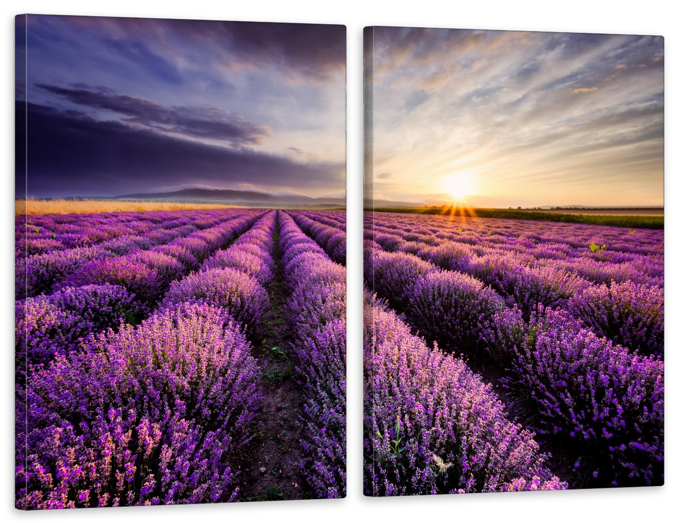 Картина модульная в гостиную/спальню Лавандовое поле 90х132 см (TLV-2_109)