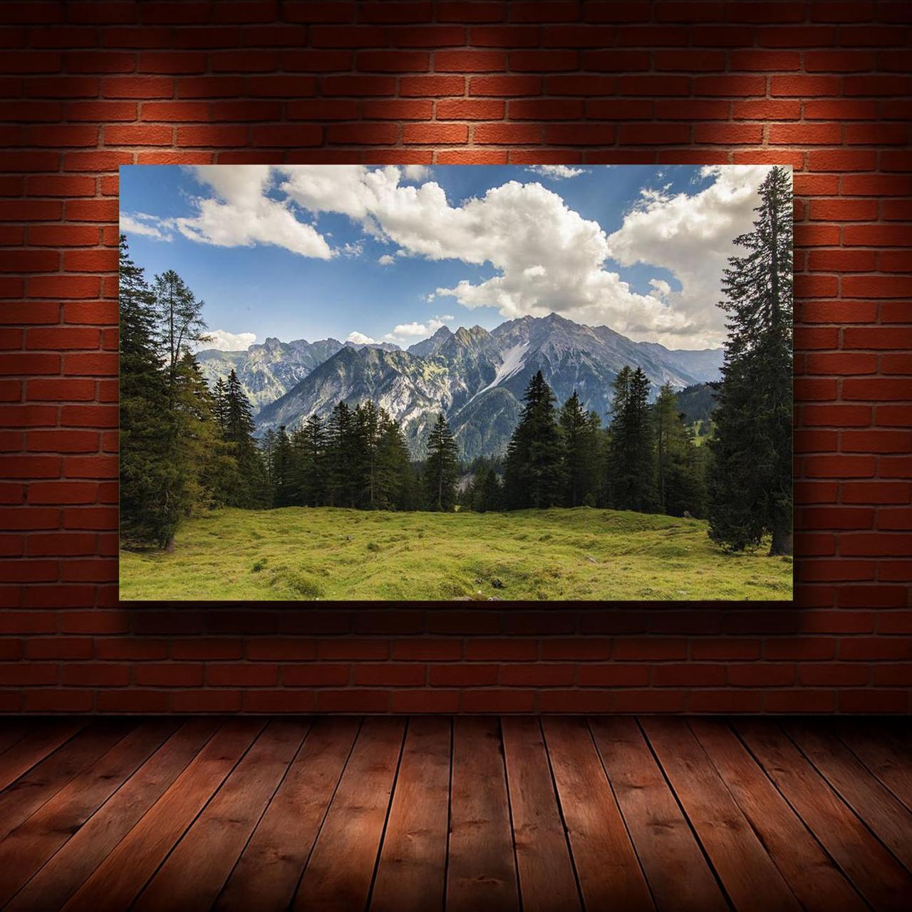 Картина на холсте Природа 50х70 см (N1238)