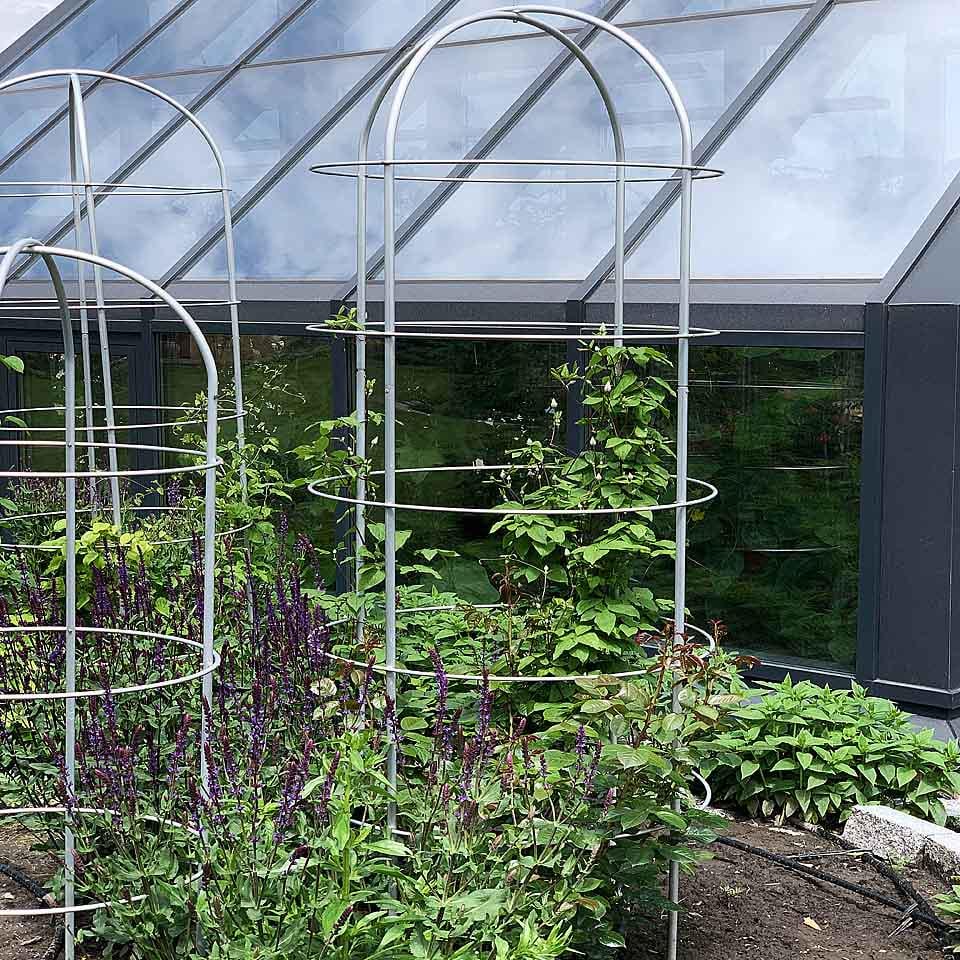 Опора для растений арочно-кольцевая на пять колец 2400х700х700 мм (АКО-D16/D8-2400*700/5) - фото 12 Опора для растений арочно-кольцевая на пять колец 2400х700х700 мм (АКО-D16/D8-2400*700/5) - фото 12