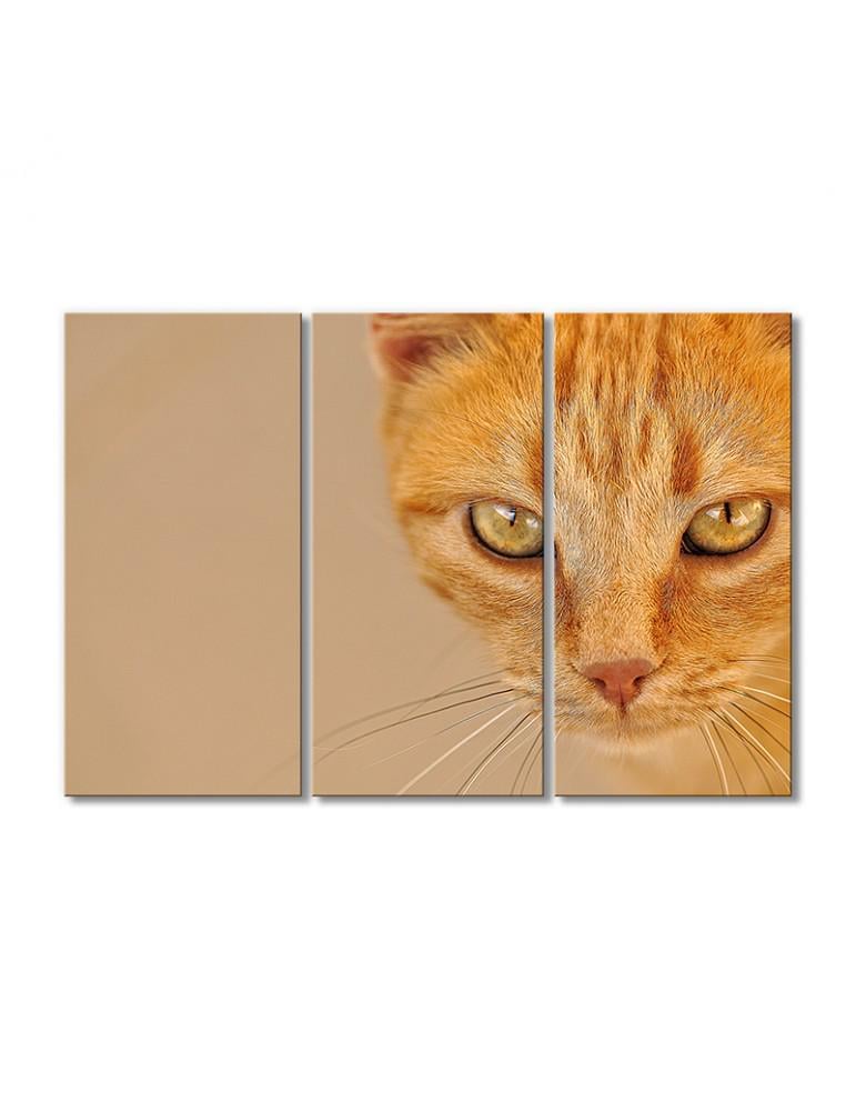 Картина модульная Рыжая хитрая кошка 3 модуля 60x90 см