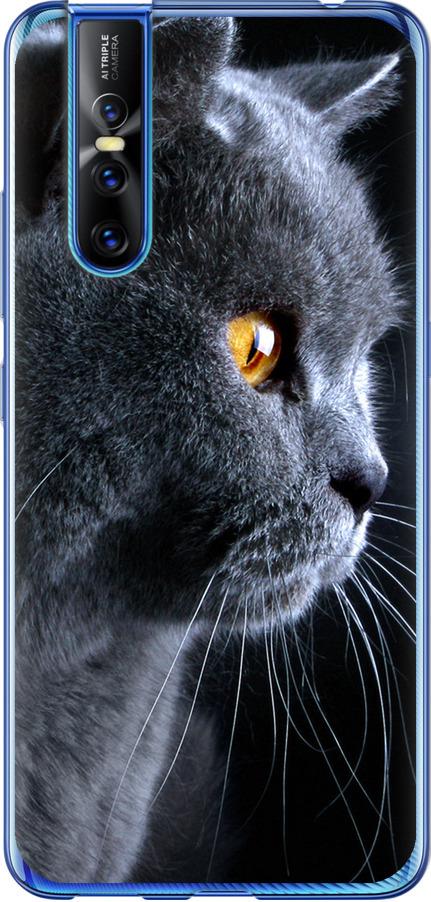 Чехол на Vivo V15 pro Красивый кот (3038t-1763-42517)