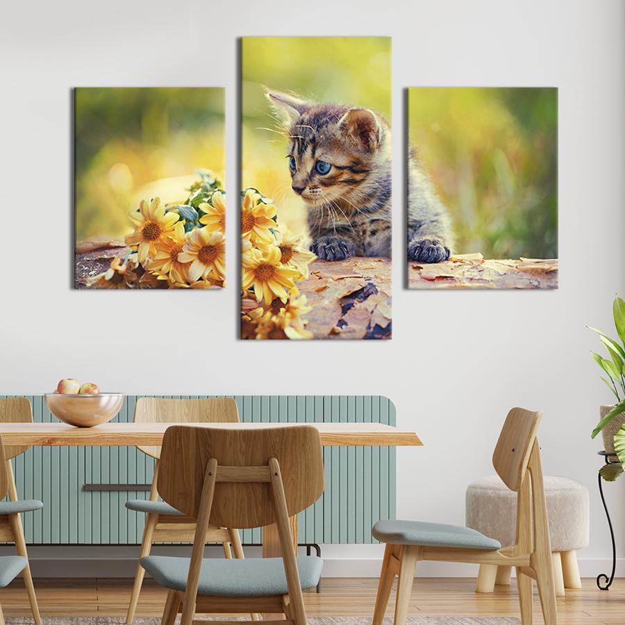 Модульная картина на холсте Триптих Красивый маленький котёнок 66x40 см (152-32)